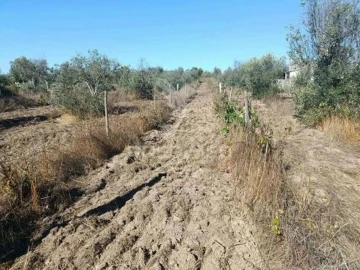 Terreno para Venda em Espírito Santo, Nossa Senhora da Graça e São Simão