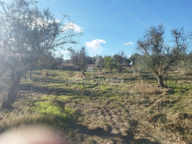 Terreno para Venda em Espírito Santo, Nossa Senhora da Graça e São Simão Foto 6