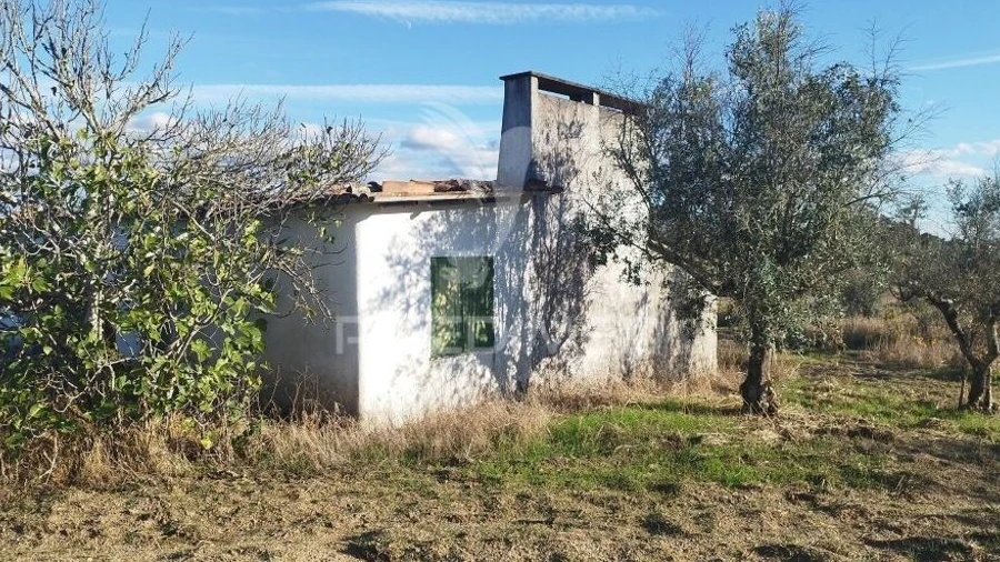 Terreno para Venda em Espírito Santo, Nossa Senhora da Graça e São Simão