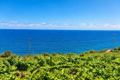 Terreno para Venda em São Vicente