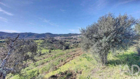 Terreno para Venda em São Marcos da Serra