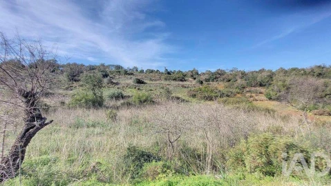 Terreno para Venda em São Marcos da Serra
