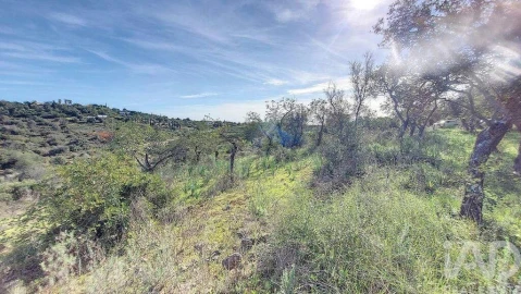 Terreno para Venda em São Marcos da Serra