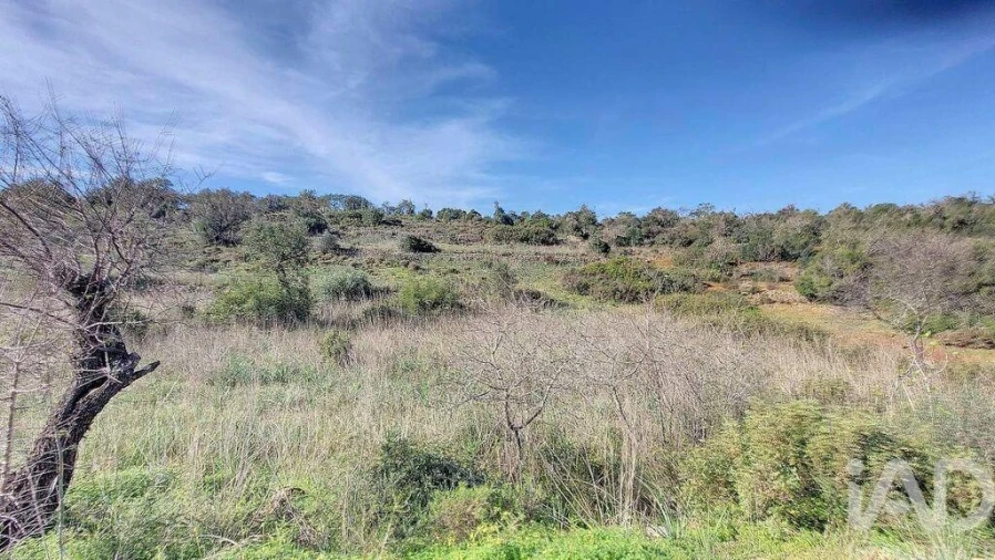 Terreno para Venda em São Marcos da Serra Foto 11