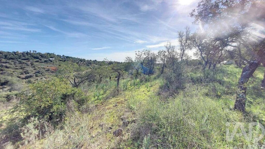 Terreno para Venda em São Marcos da Serra Foto 14