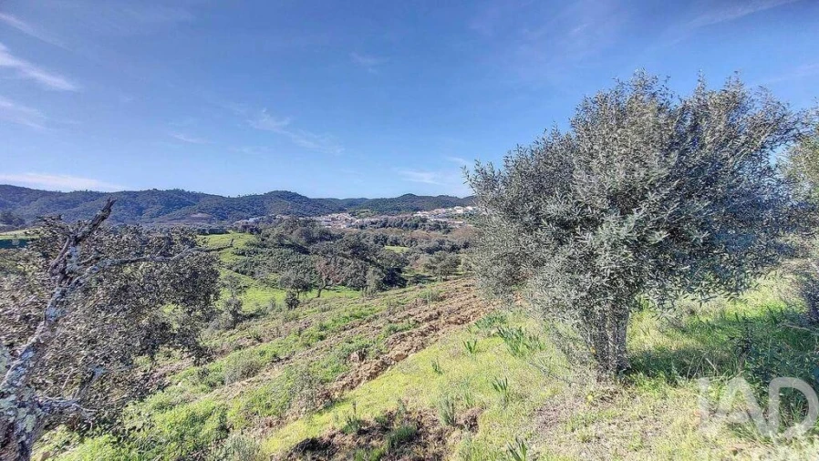 Terreno para Venda em São Marcos da Serra Foto 3