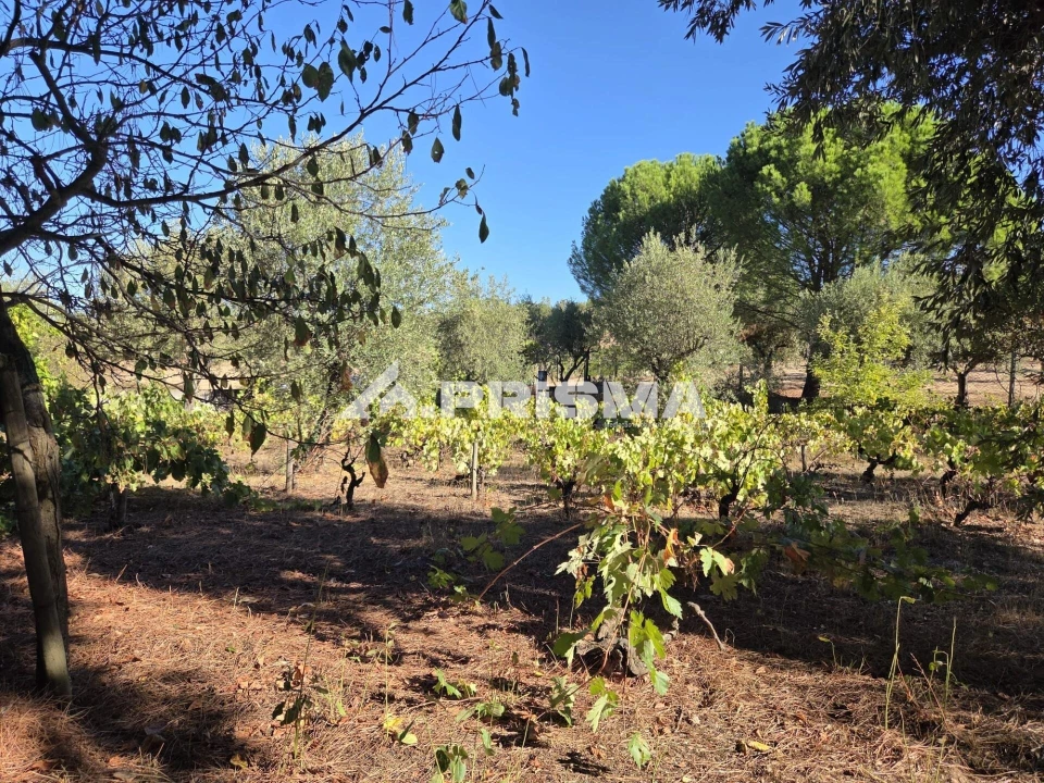Terreno para Venda em Póvoa de Rio de Moinhos e Cafede Foto 12