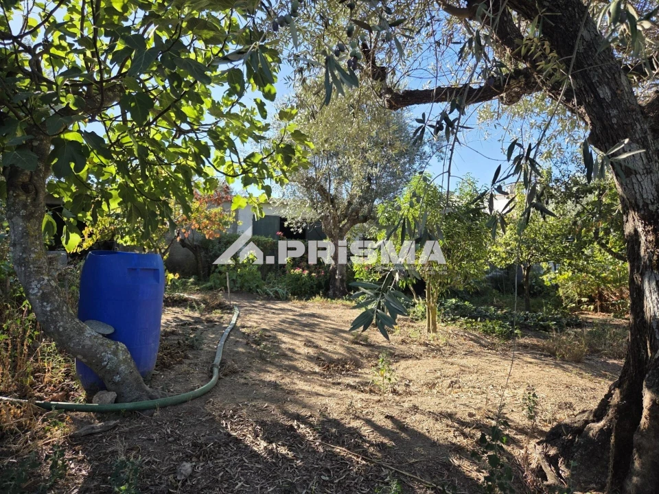 Terreno para Venda em Póvoa de Rio de Moinhos e Cafede Foto 14