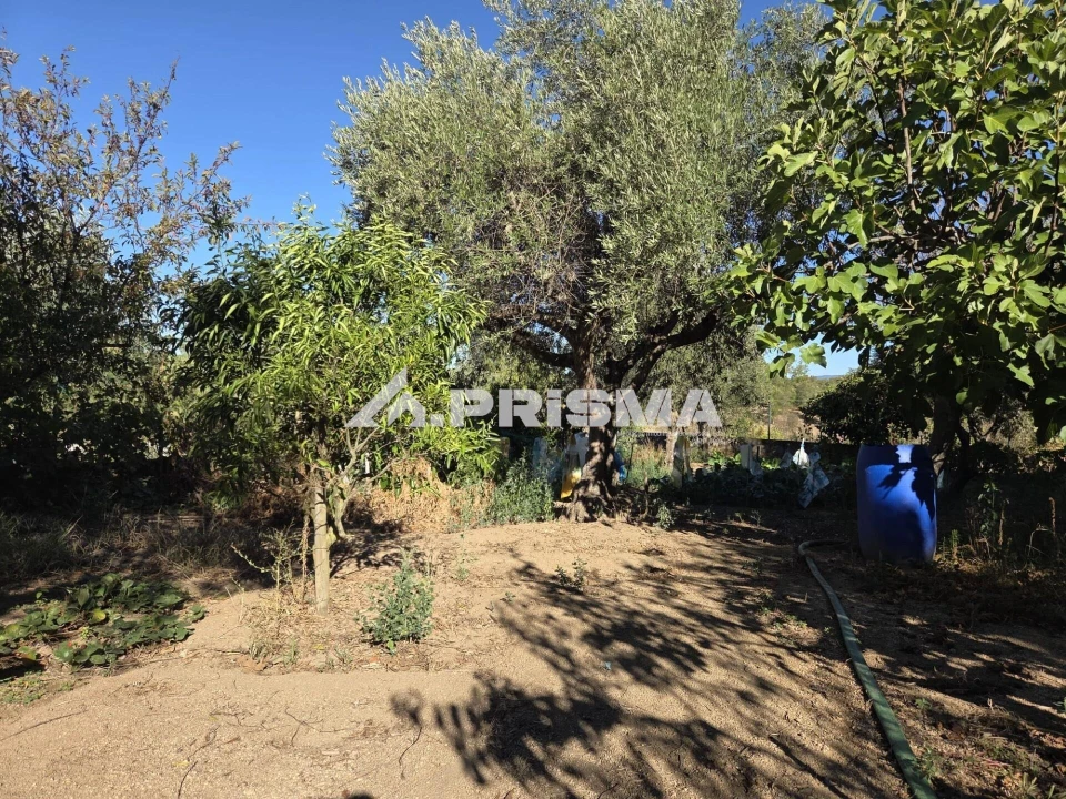 Terreno para Venda em Póvoa de Rio de Moinhos e Cafede Foto 3