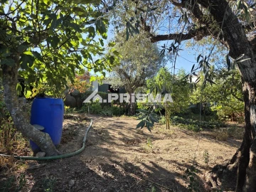 Terreno para Venda em Póvoa de Rio de Moinhos e Cafede