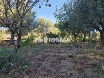 Terreno para Venda em Póvoa de Rio de Moinhos e Cafede