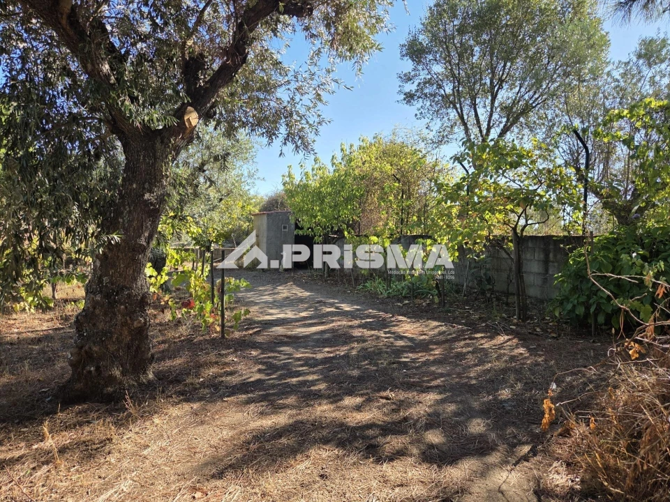 Terreno para Venda em Póvoa de Rio de Moinhos e Cafede Foto 11