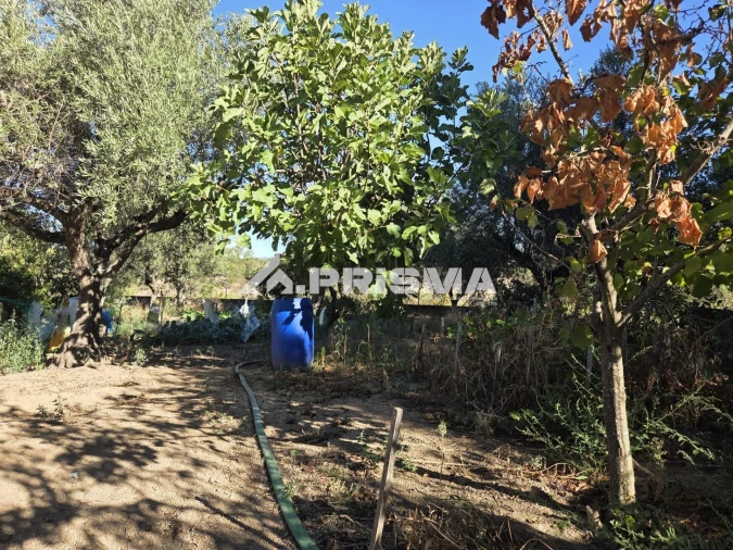 Terreno para Venda em Póvoa de Rio de Moinhos e Cafede Foto 2
