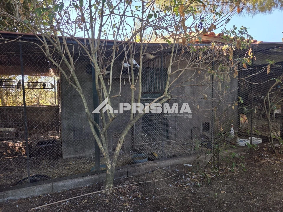 Terreno para Venda em Póvoa de Rio de Moinhos e Cafede Foto 13