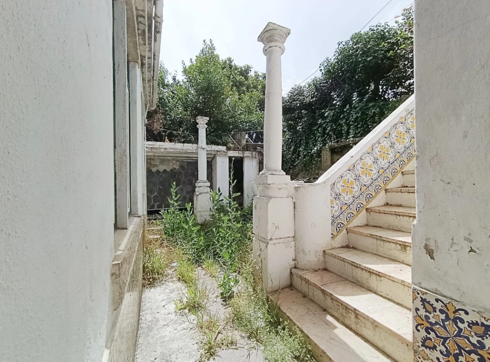 Prédio para Venda em Santo Antonio dos Olivais Foto 7