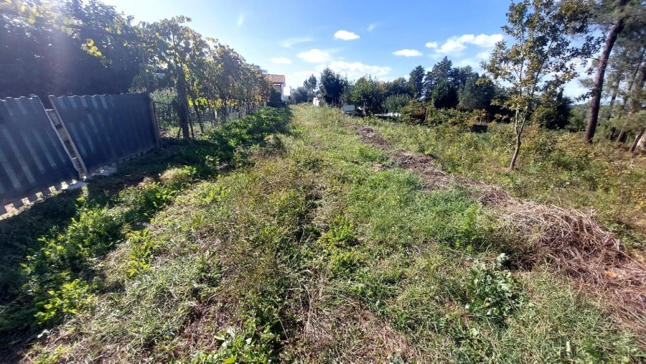 Terreno para Venda em Santa Lucrécia de Algeriz e Navarra Foto 1