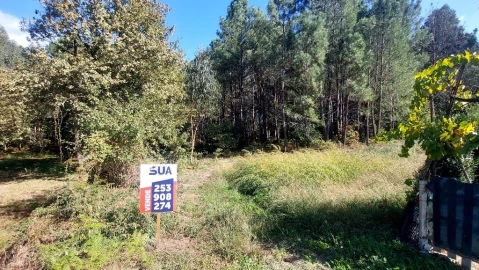 Terreno para Venda em Santa Lucrécia de Algeriz e Navarra