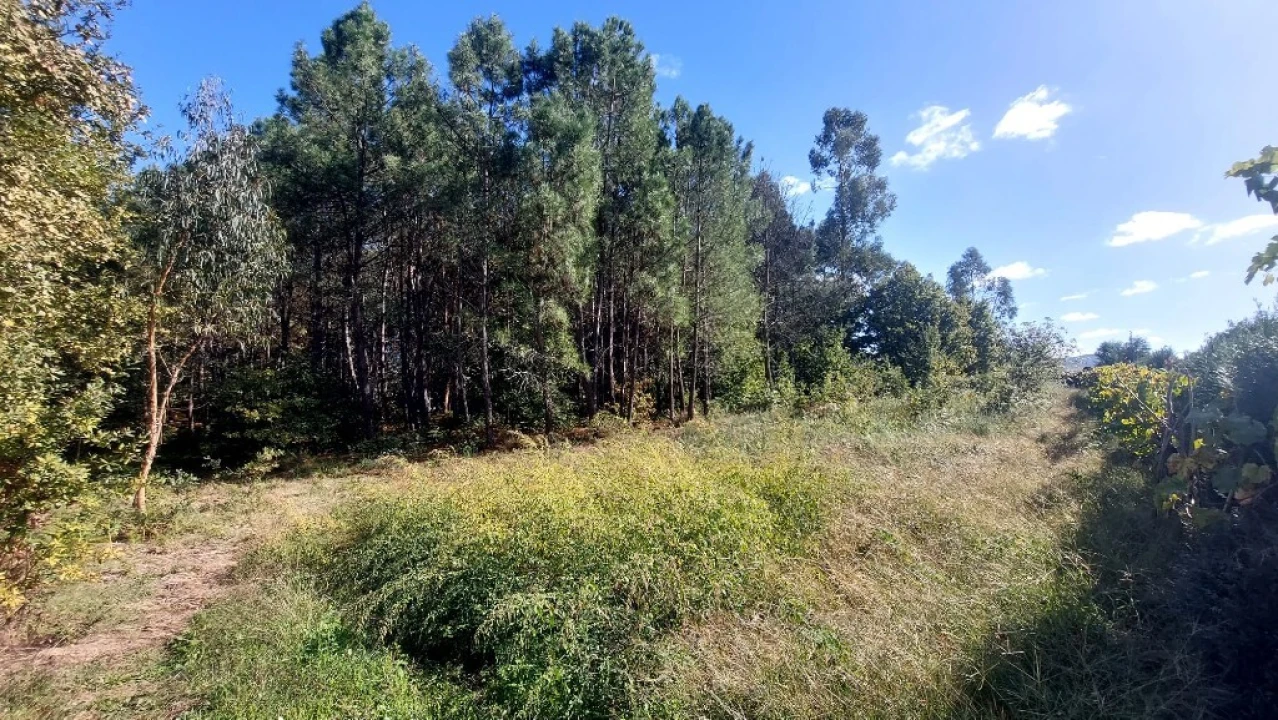 Terreno para Venda em Santa Lucrécia de Algeriz e Navarra Foto 2