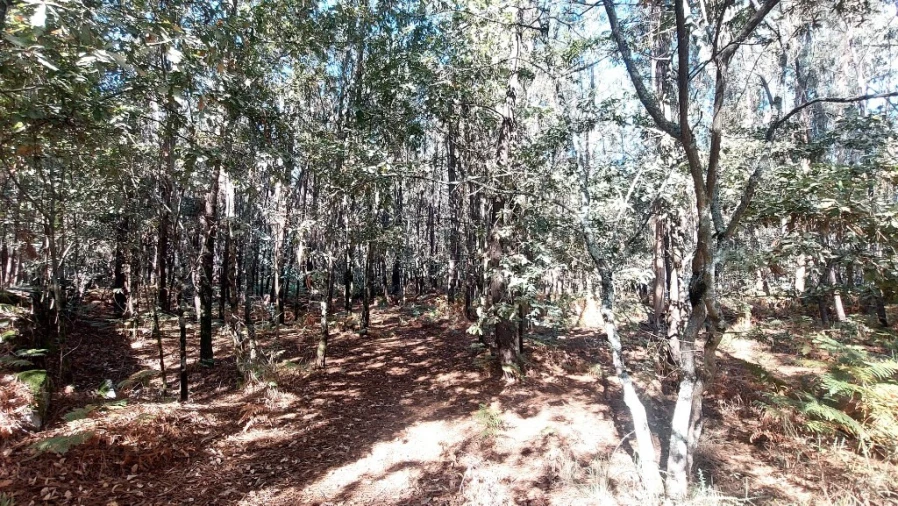 Terreno para Venda em Santa Lucrécia de Algeriz e Navarra Foto 7