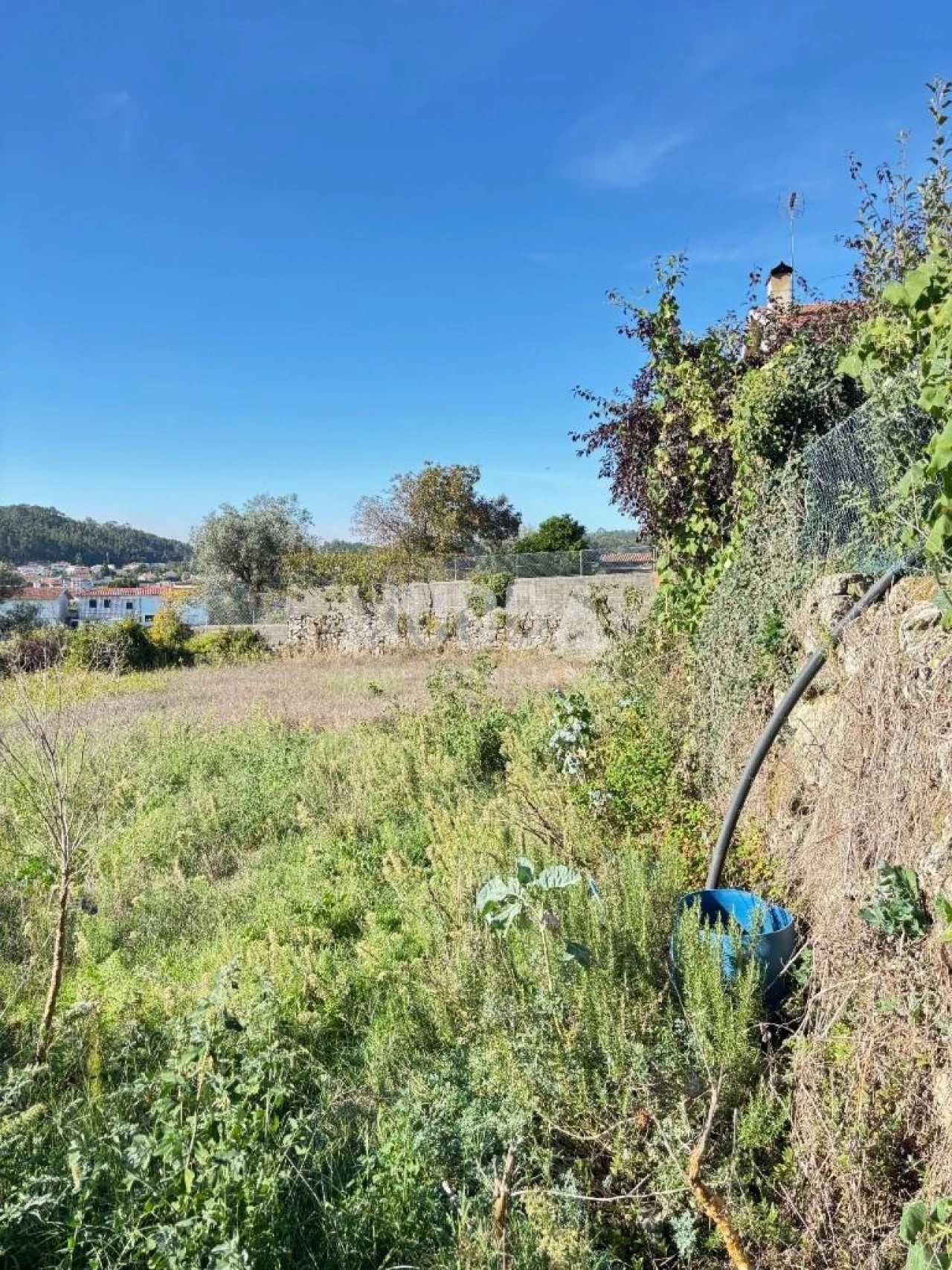 Terreno para Venda em Fajões Foto 11