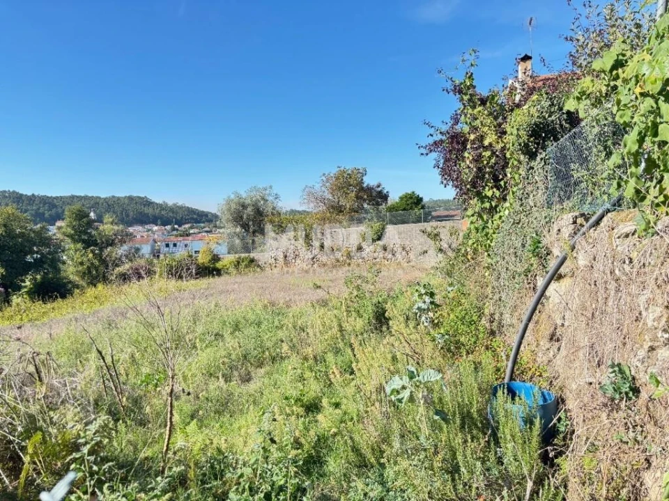 Terreno para Venda em Fajões Foto 5