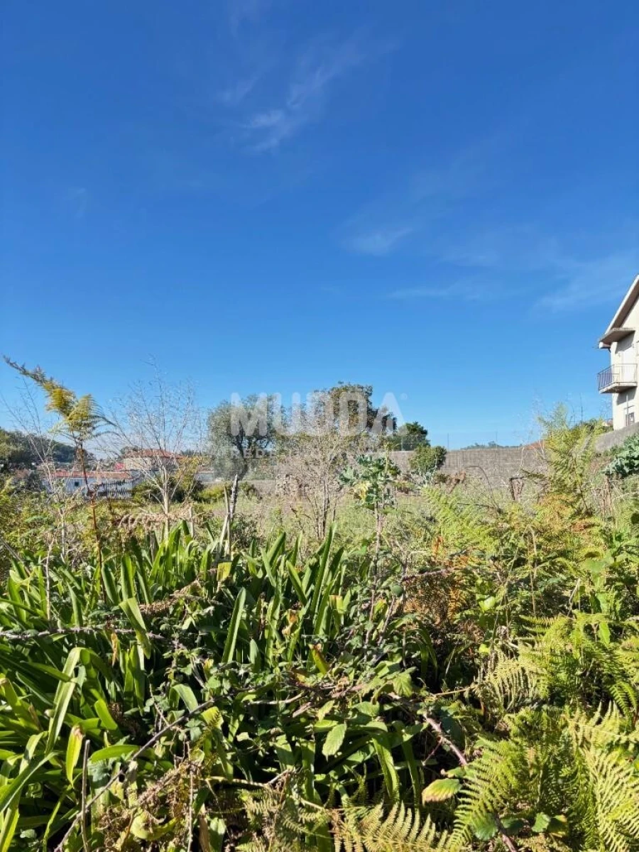 Terreno para Venda em Fajões Foto 9