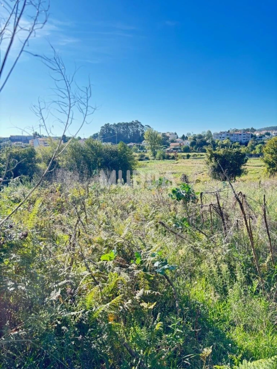 Terreno para Venda em Fajões Foto 10