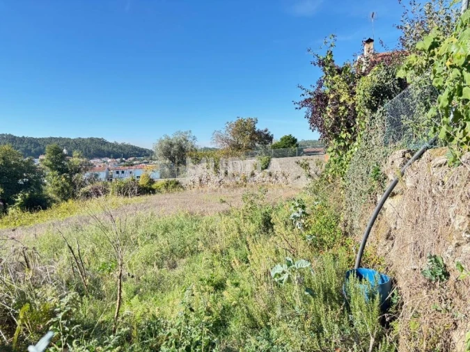 Terreno para Venda em Fajões Foto 5