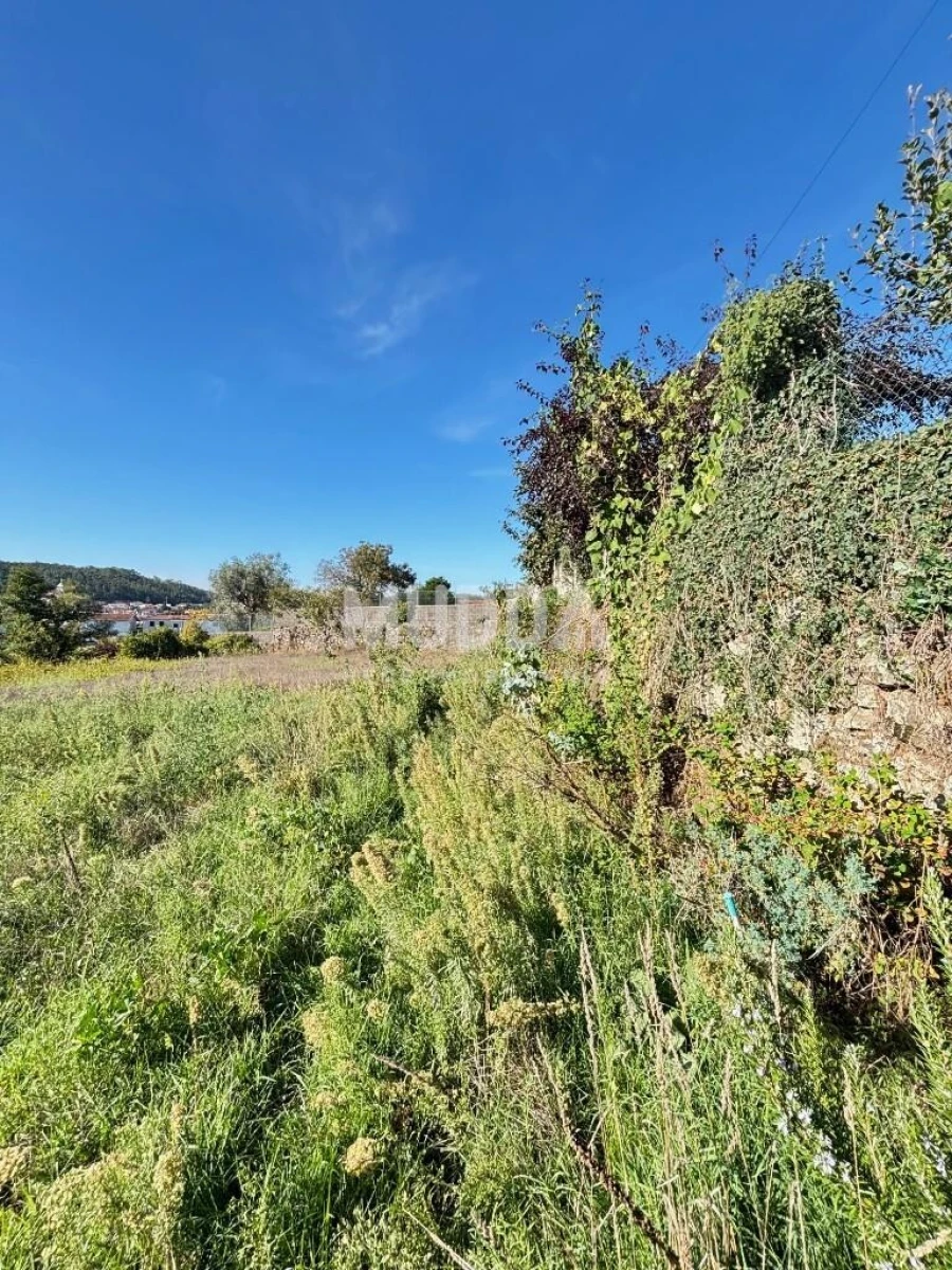 Terreno para Venda em Fajões Foto 7