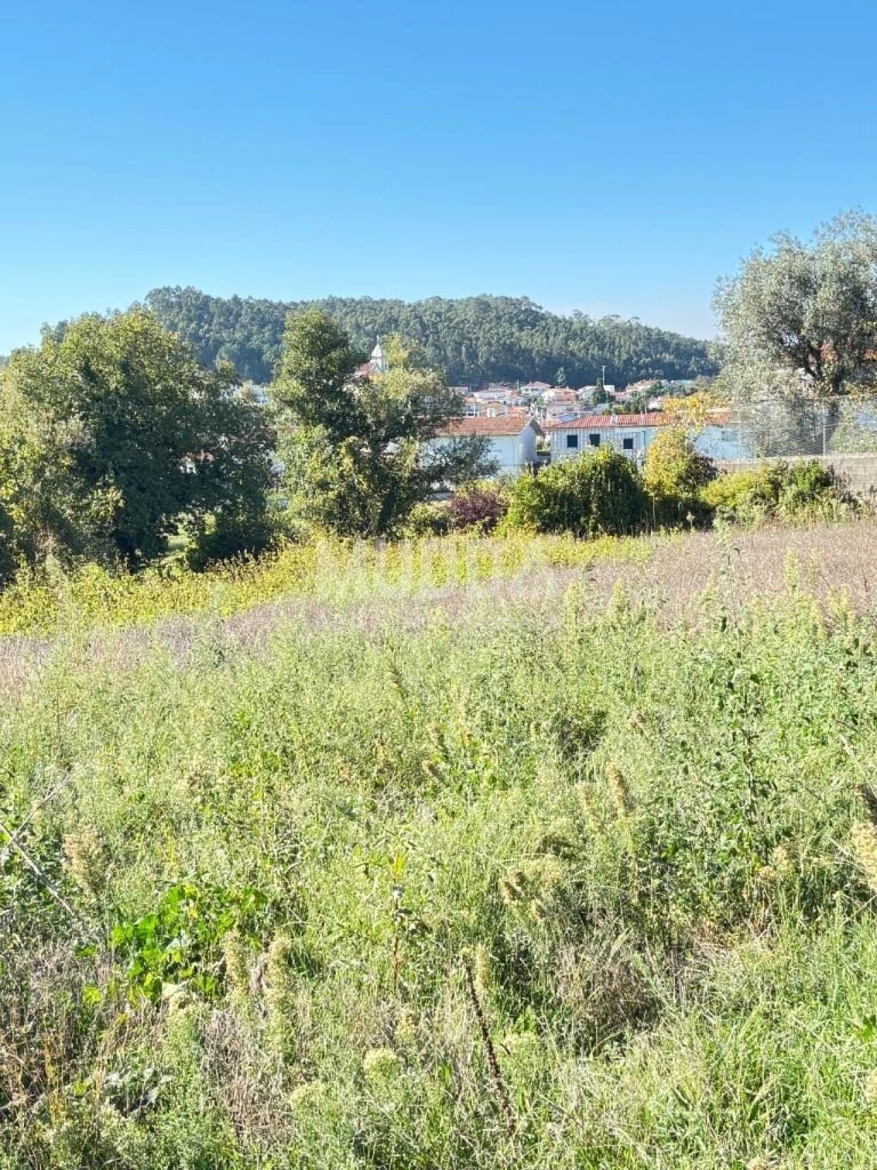 Terreno para Venda em Fajões Foto 8