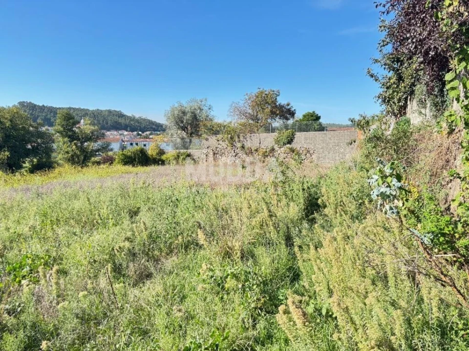 Terreno para Venda em Fajões Foto 6