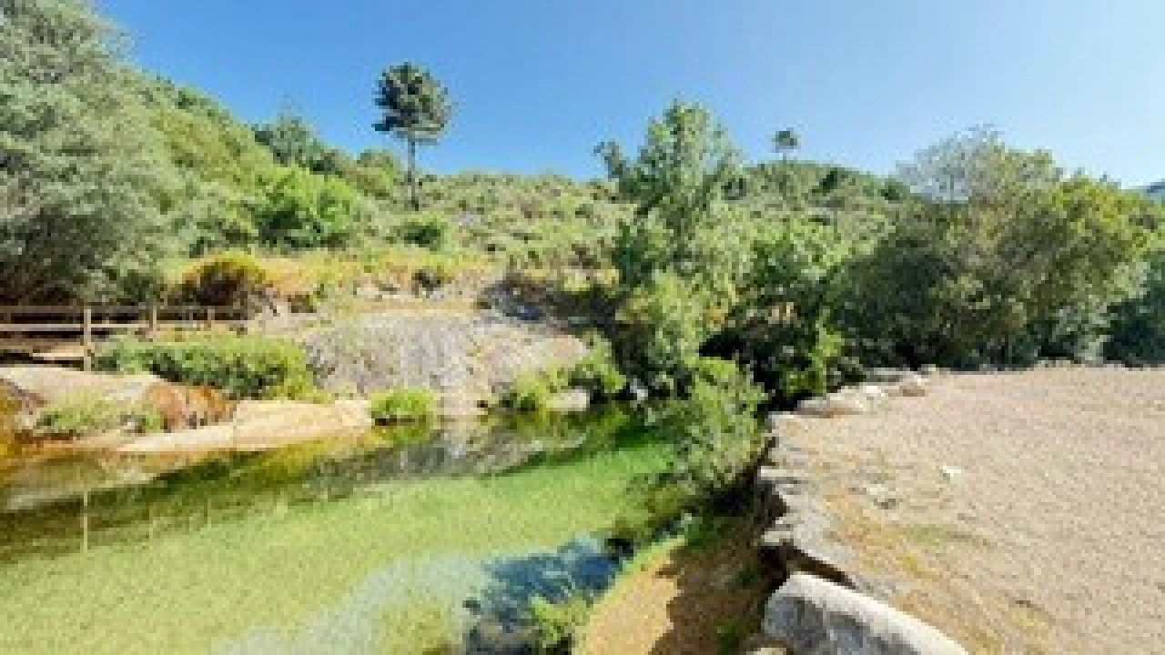Prédio para Venda em Cortes do Meio Foto 4