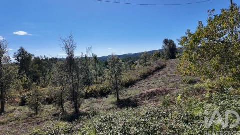 Terreno para Venda em Graça