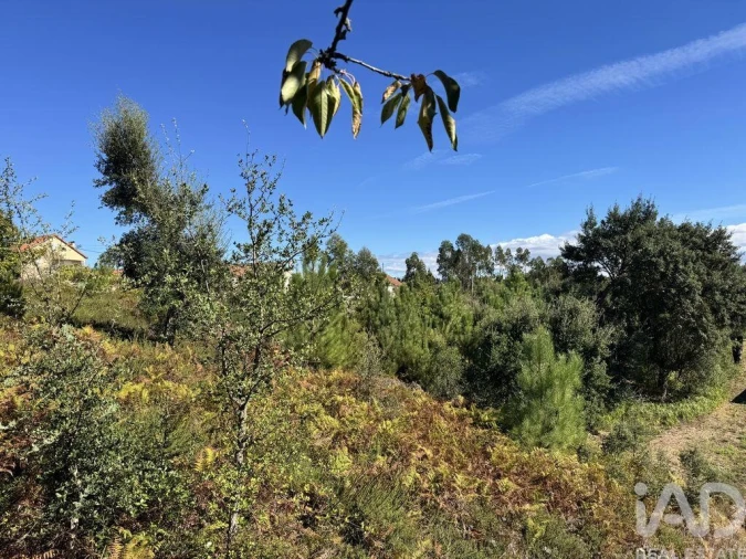 Terreno para Venda em Graça Foto 2