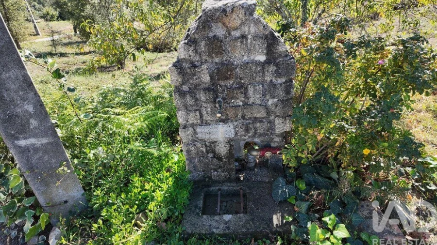 Terreno para Venda em Graça Foto 3