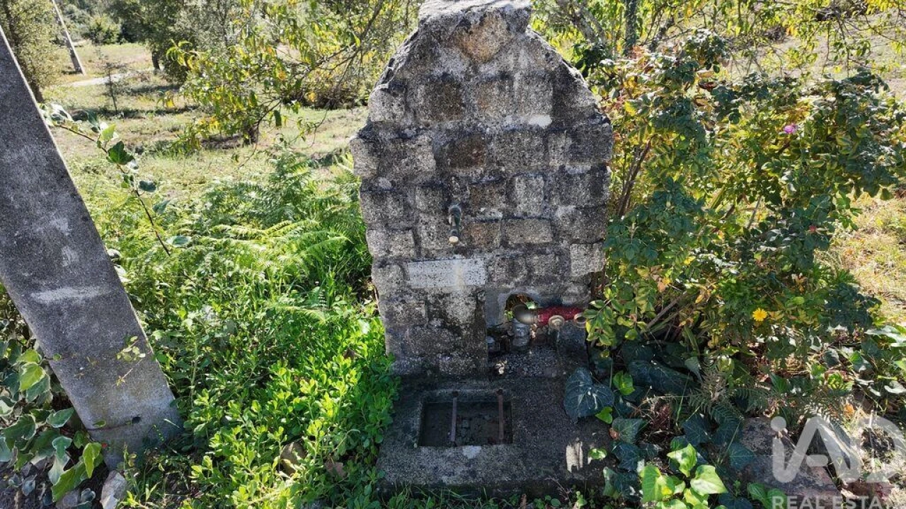 Terreno para Venda em Graça Foto 3