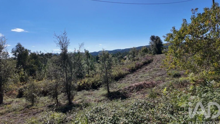 Terreno para Venda em Graça