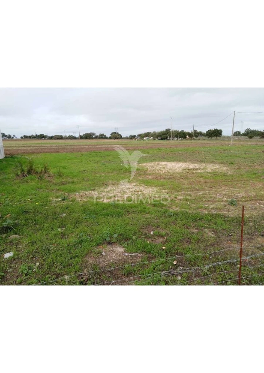 Terreno para Venda em Abela Foto 4