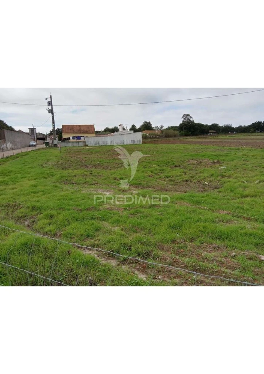 Terreno para Venda em Abela Foto 3