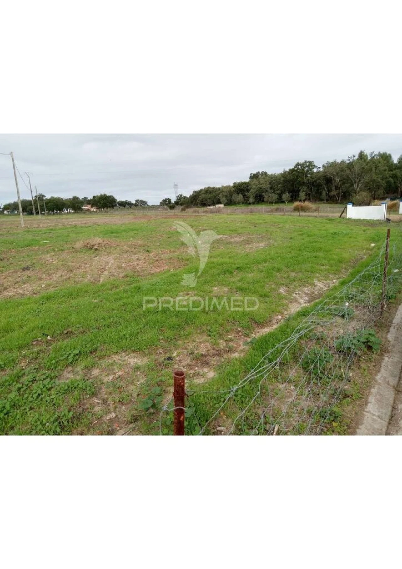 Terreno para Venda em Abela Foto 1