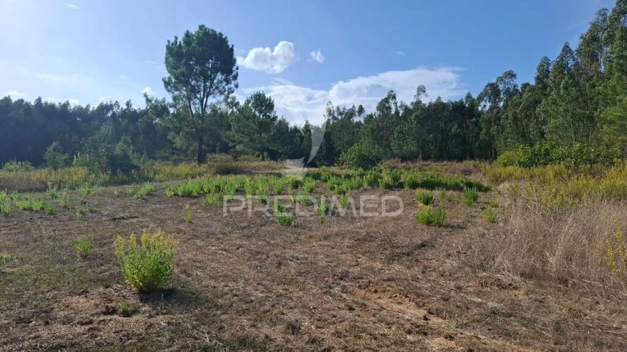 Terreno para Venda em Arneiro das Milhariças Foto 4