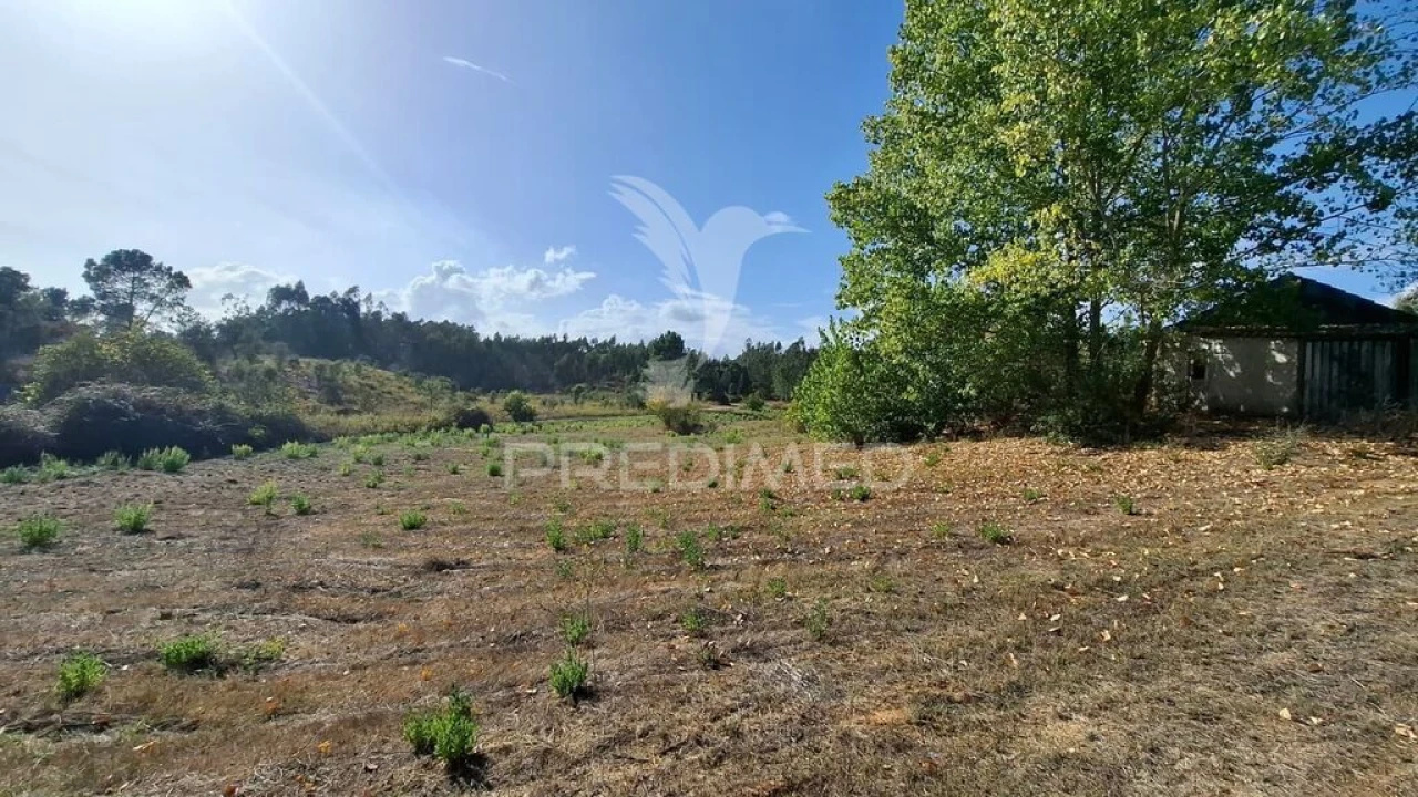 Terreno para Venda em Arneiro das Milhariças Foto 1