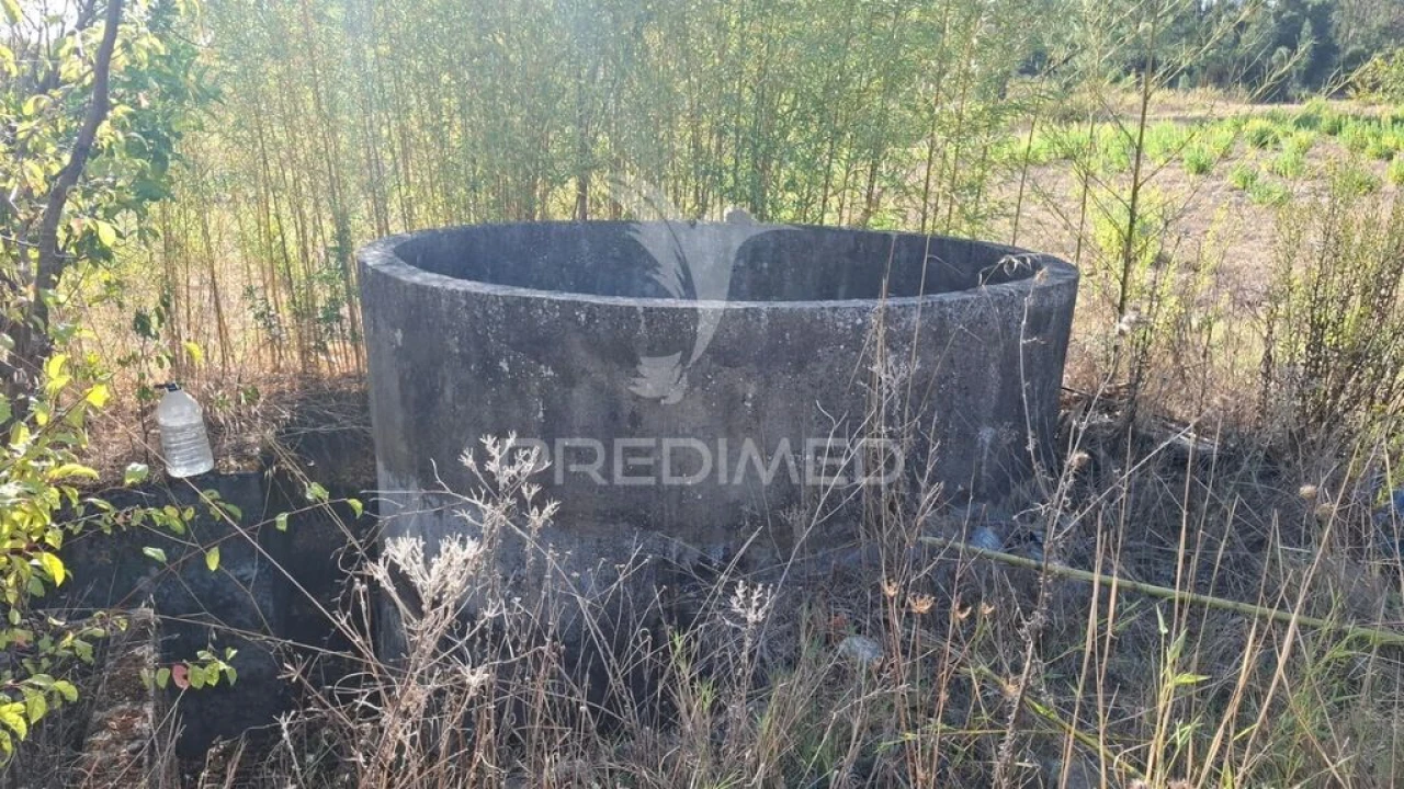 Terreno para Venda em Arneiro das Milhariças Foto 6