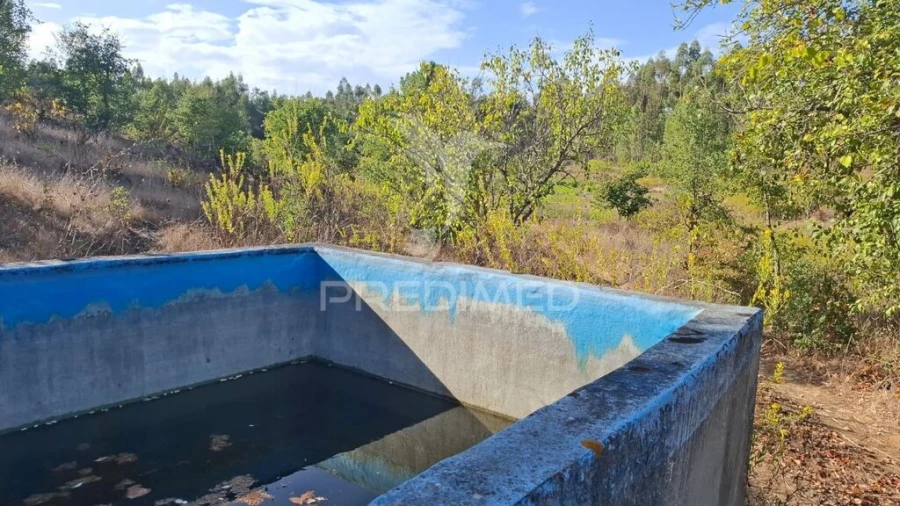 Terreno para Venda em Arneiro das Milhariças Foto 7