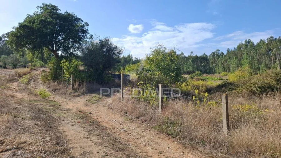 Terreno para Venda em Arneiro das Milhariças Foto 13
