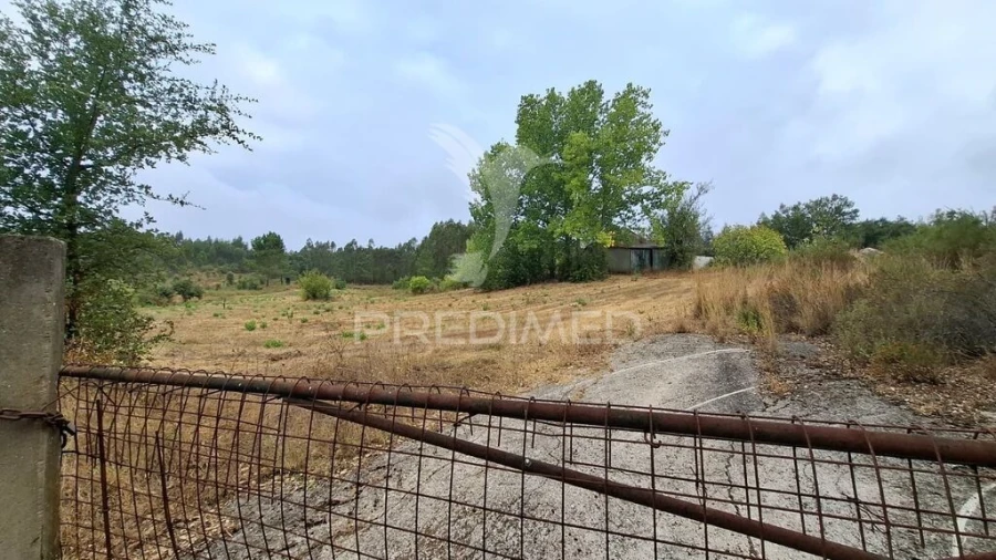 Terreno para Venda em Arneiro das Milhariças Foto 14