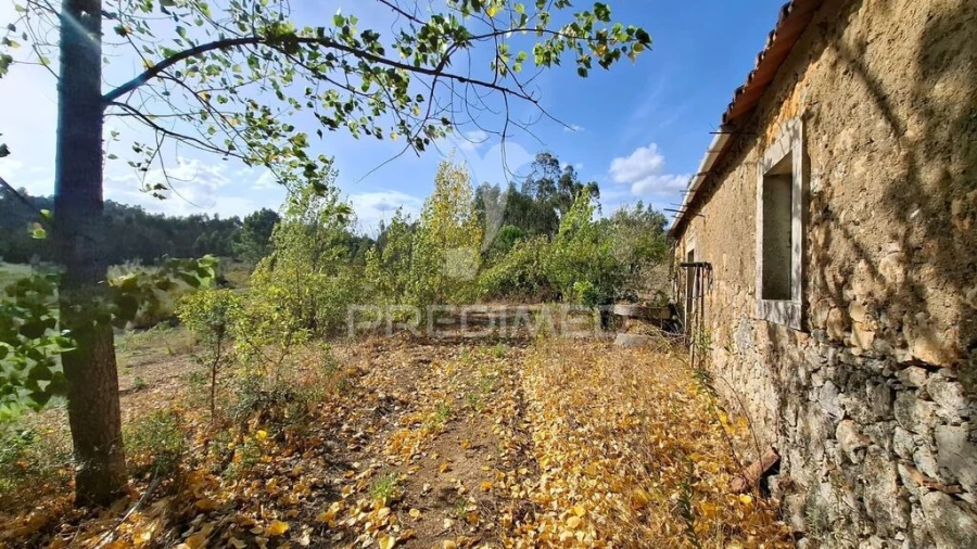 Terreno para Venda em Arneiro das Milhariças Foto 10