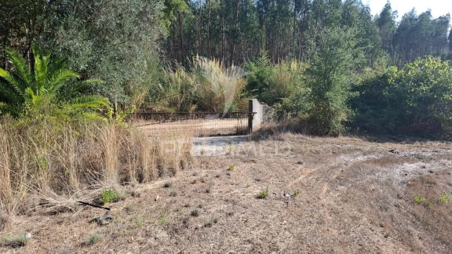 Terreno para Venda em Arneiro das Milhariças Foto 12