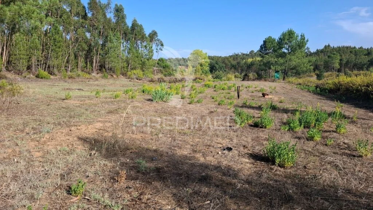 Terreno para Venda em Arneiro das Milhariças Foto 3
