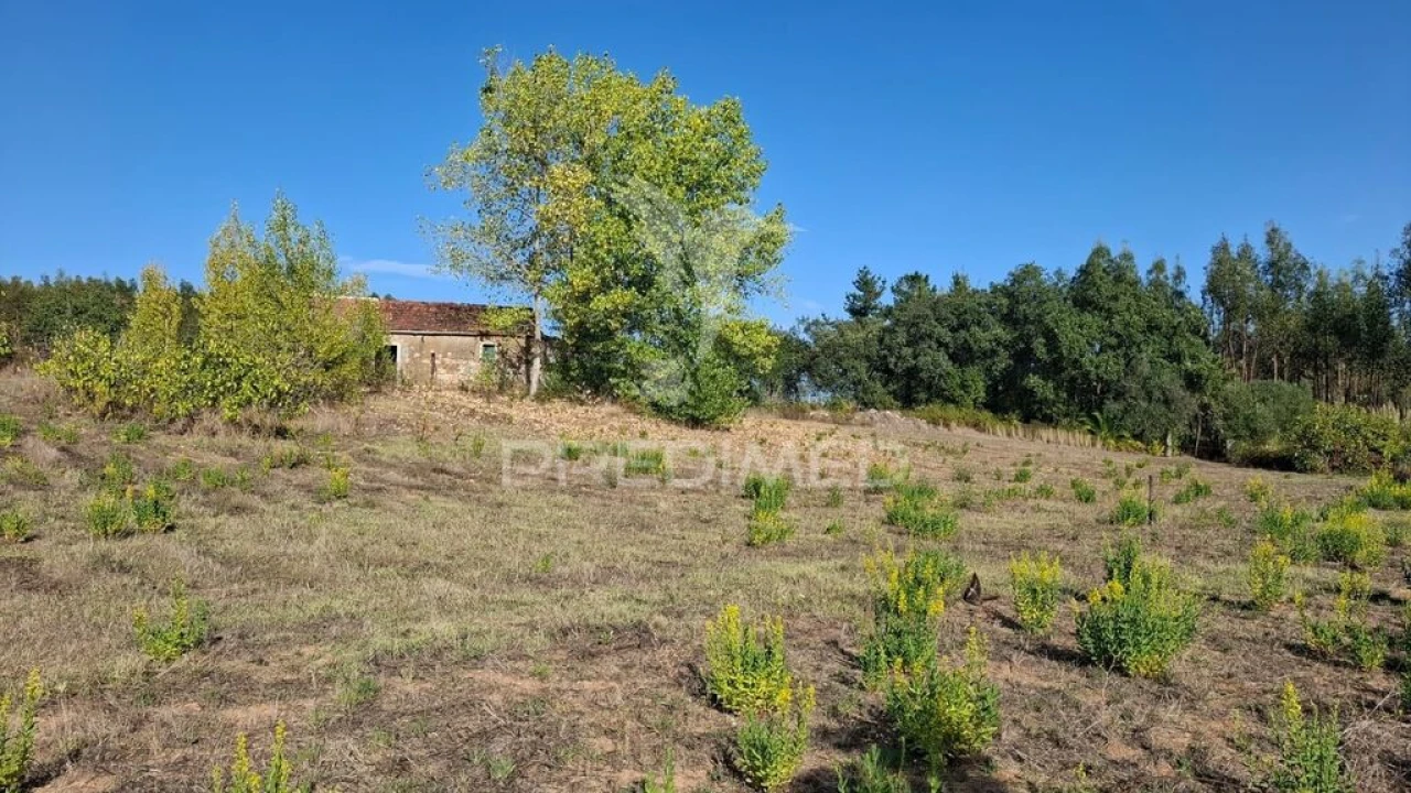 Terreno para Venda em Arneiro das Milhariças Foto 8